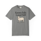 Known Fully Loved Still T-shirt